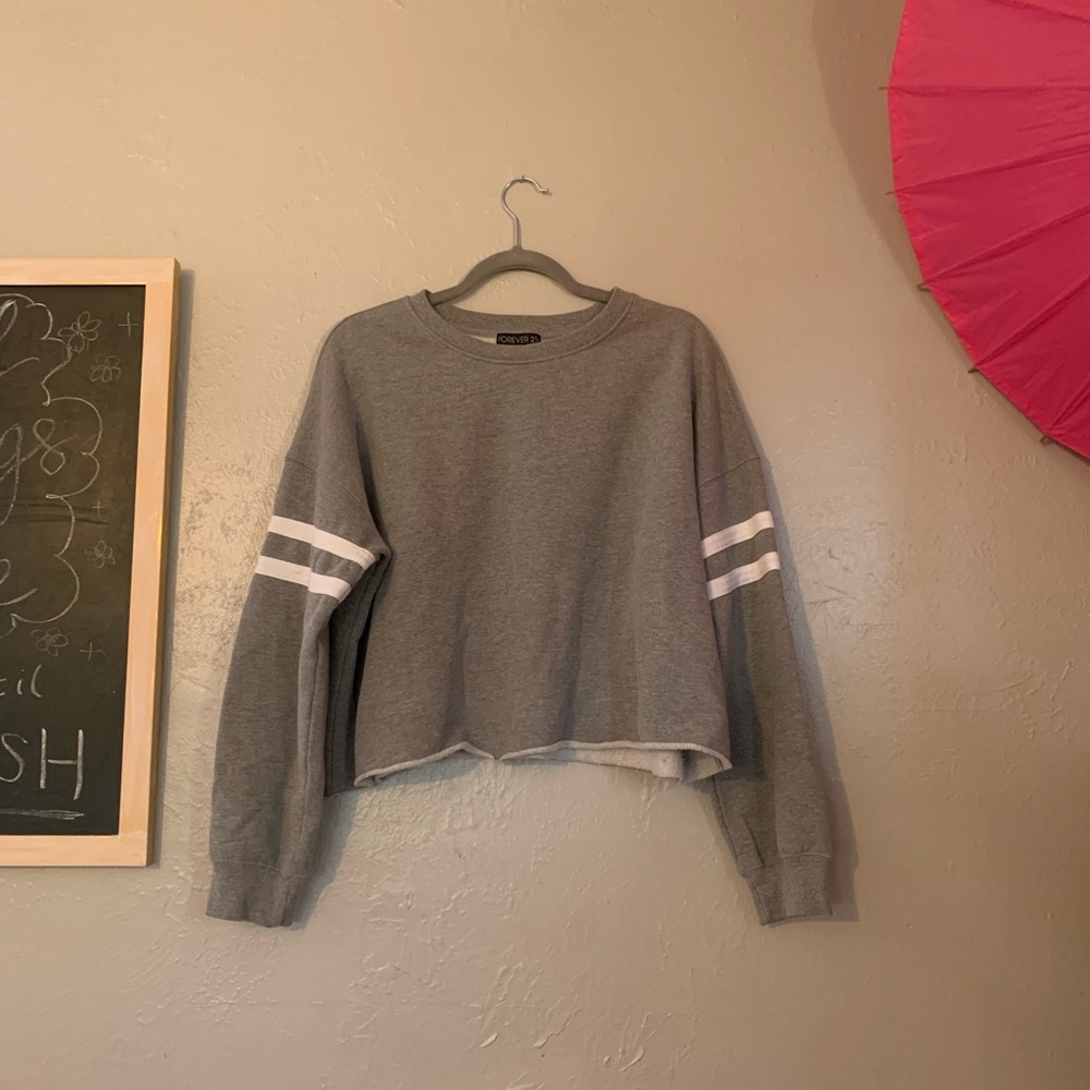 Grey Plus Cropped Collegiate Hoodie